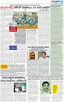 17-page-003