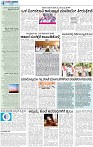 17-page-004
